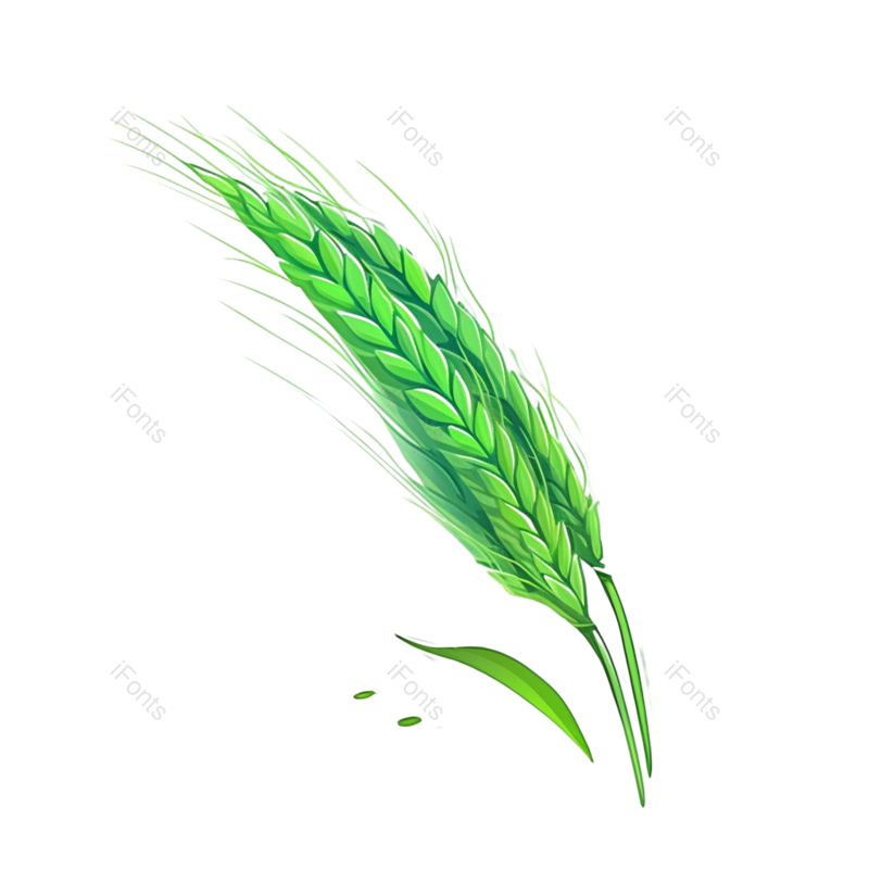 芒种图片,元素元素,麦子PNG,丰收免抠素材